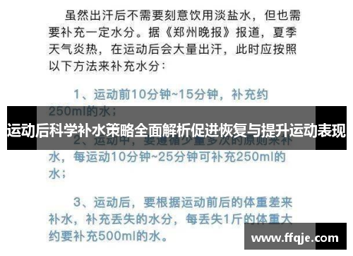 运动后科学补水策略全面解析促进恢复与提升运动表现